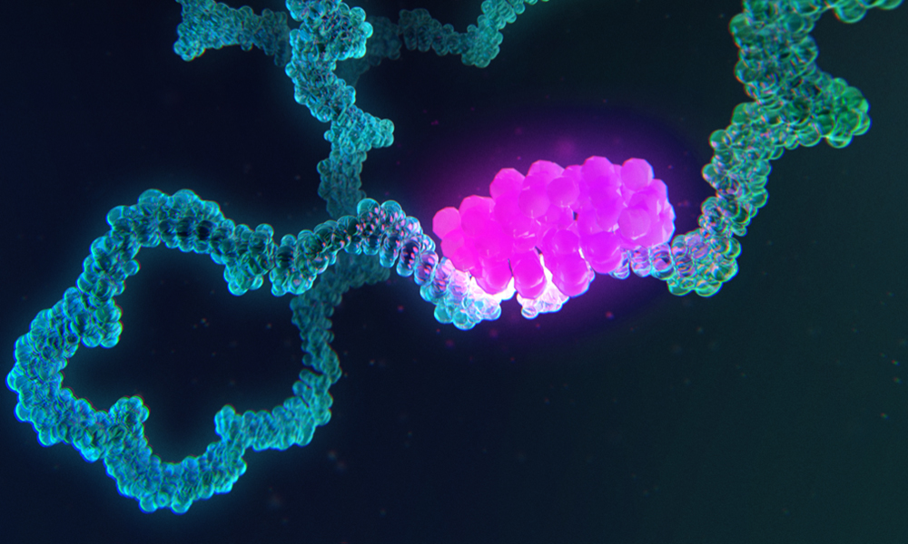 Artistic rendering of an RNA-binding protein interacting with an RNA molecule